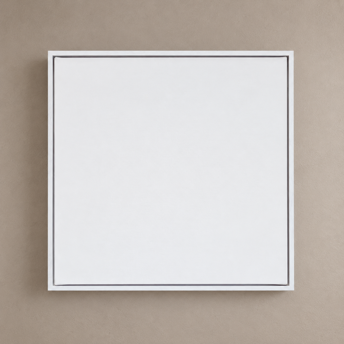 Canvas With White Float Frame